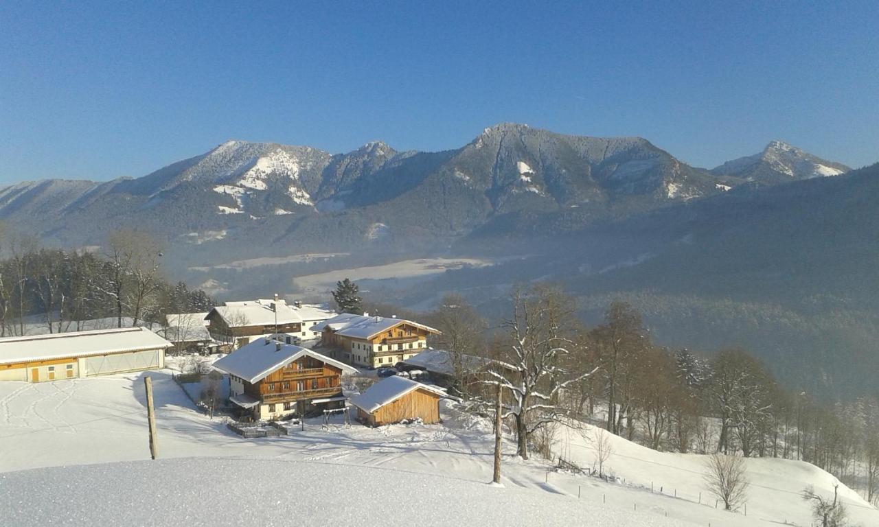Schoberhof Séjour à la ferme *