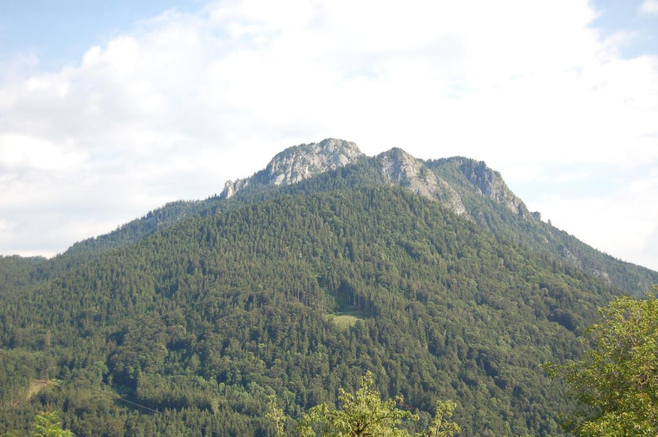 Schoberhof Séjour à la ferme